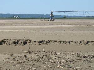 MITIGATING FLOODED FIELDS WITH COVER CROPS