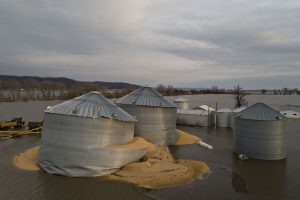 FLOODED GRAIN STORAGE – WHAT YOU SHOULD KNOW
