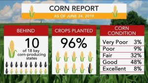JULY 2019 – USDA CROP PRODUCTION AND WASDE REPORTS